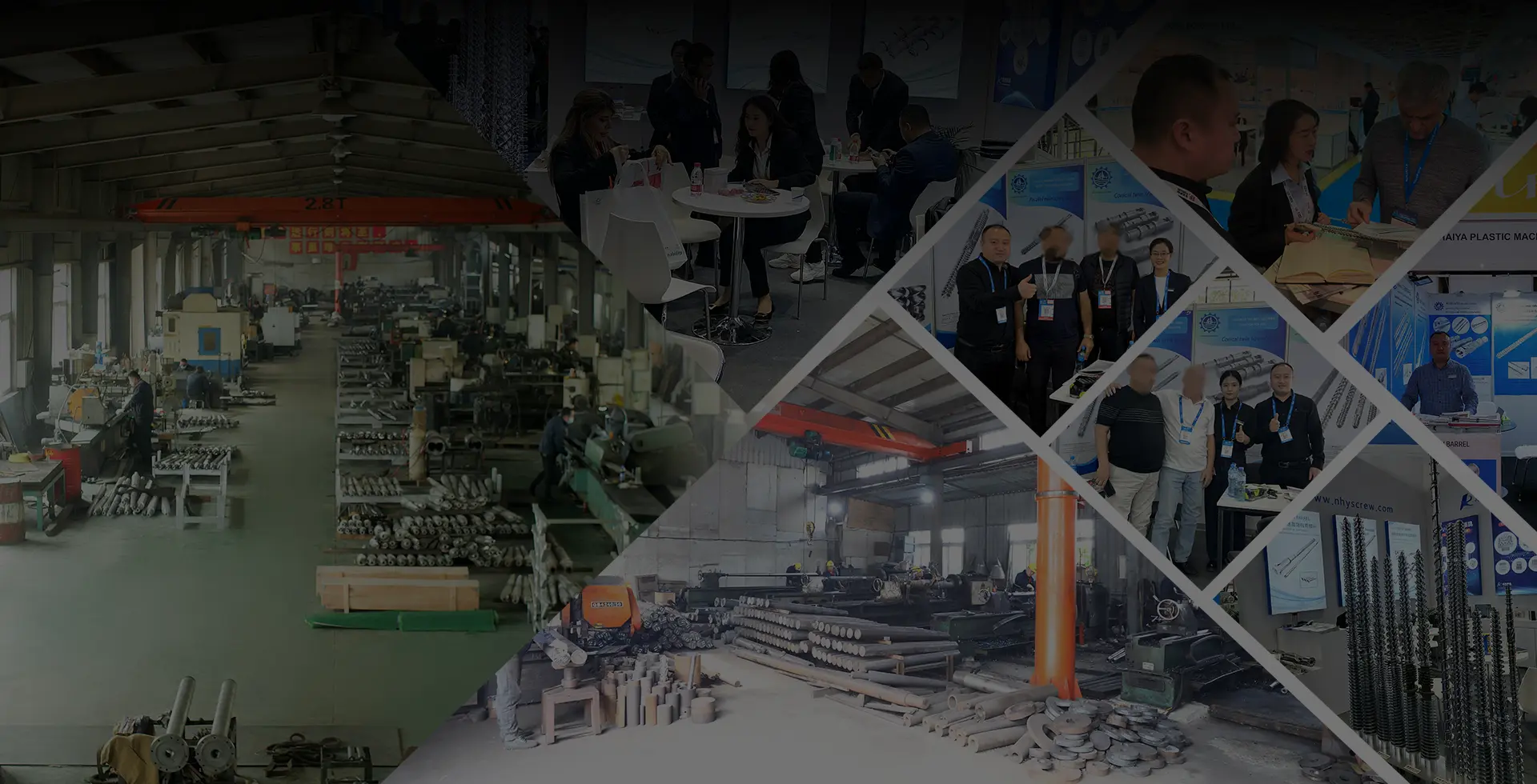 Parallel Didymus stupra Manufacturer